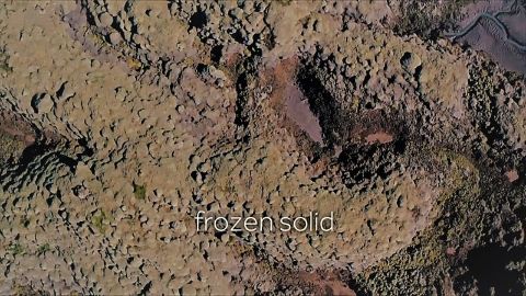 Frozen Solid
