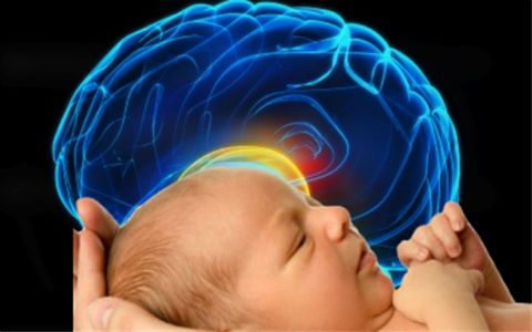 The Baby's Brain: Wider than the Sky