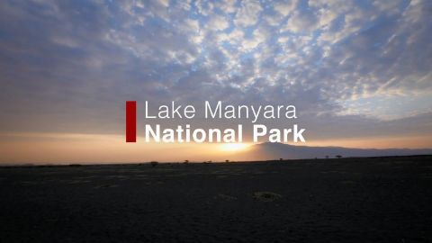 Lake Manyara: National Park
