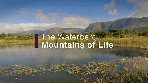 The Waterberg Mountains of Life
