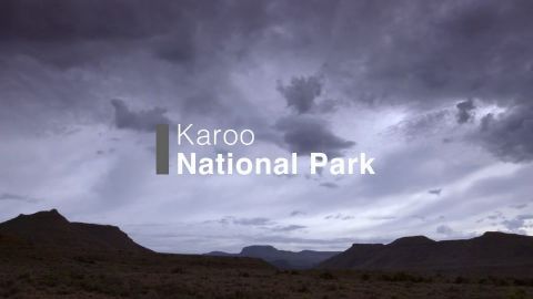 Karoo national Park