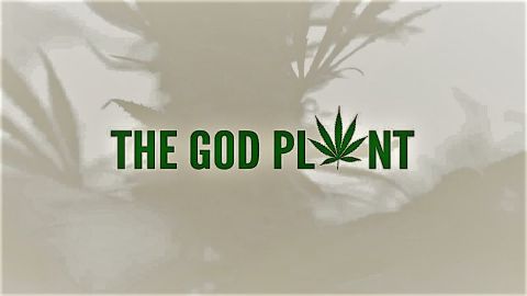 The God Plant