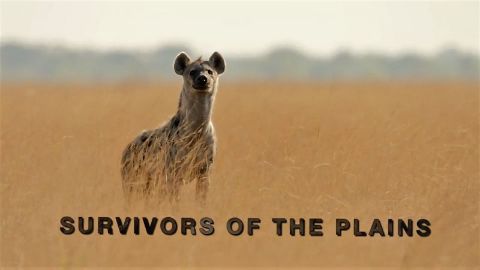 Survivors of the Plains