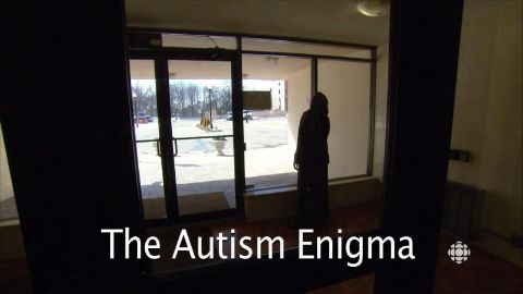 The Autism Enigma