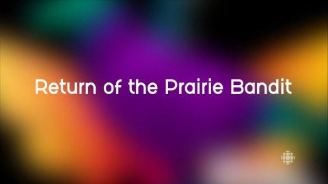 Return of the Prairie Bandit