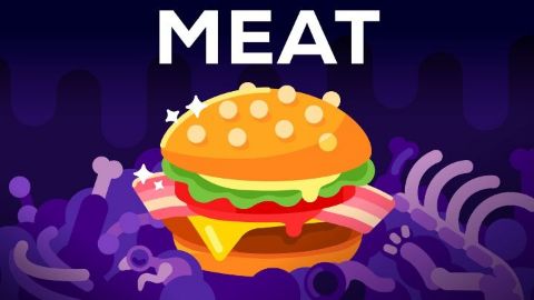 Why Meat is the Best Worst Thing in the World ??
