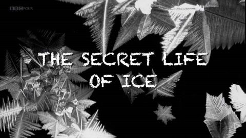 The Secret Life of Ice